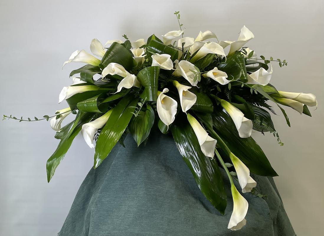White calla lilies arranged in a large spray with glossy green leaves