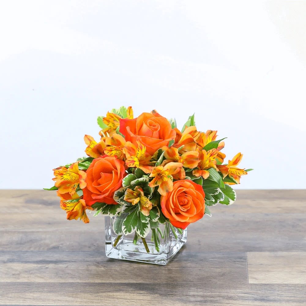 Orange and Sunny - A clear cube holds orange roses and orange alstroemeria. Simple and bright. Great for thinking of you or just because.