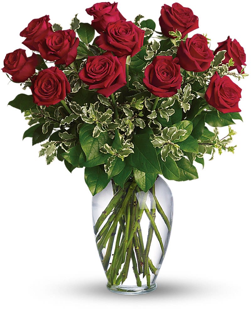 Arrangement of long-stem red roses in a clear glass vase with variegated foliage