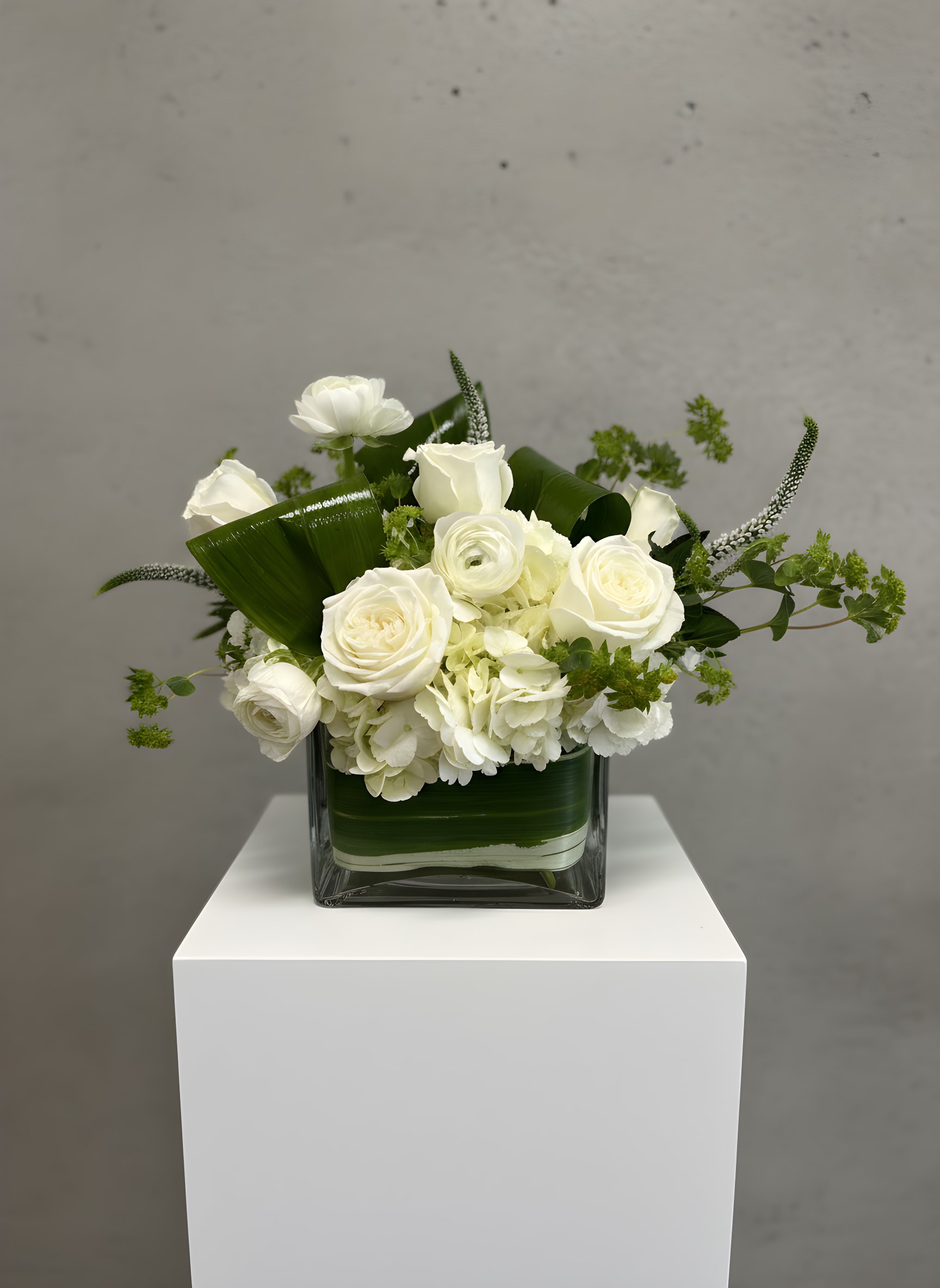 Lumière - Elegant and timeless, Lumière is a luxurious white flower arrangement designed with premium white roses, hydrangeas, ranunculus, and fresh seasonal greenery. Artfully arranged in a modern glass vase lined with tropical foliage, this sophisticated floral design is perfect for birthdays, anniversaries, sympathy flowers, corporate gifts, thank-you gestures, or simply sending something beautiful.  Handcrafted by All Occasions Florist, Lumière is available for flower delivery throughout Dallas, Richardson, Highland Park, University Park, Preston Hollow, and surrounding Dallas areas. Send elegant white flowers with same-day Dallas flower delivery from a trusted local Dallas florist.  Flower varieties may vary based on seasonal availability while maintaining the overall style, color palette, and value of the arrangement.