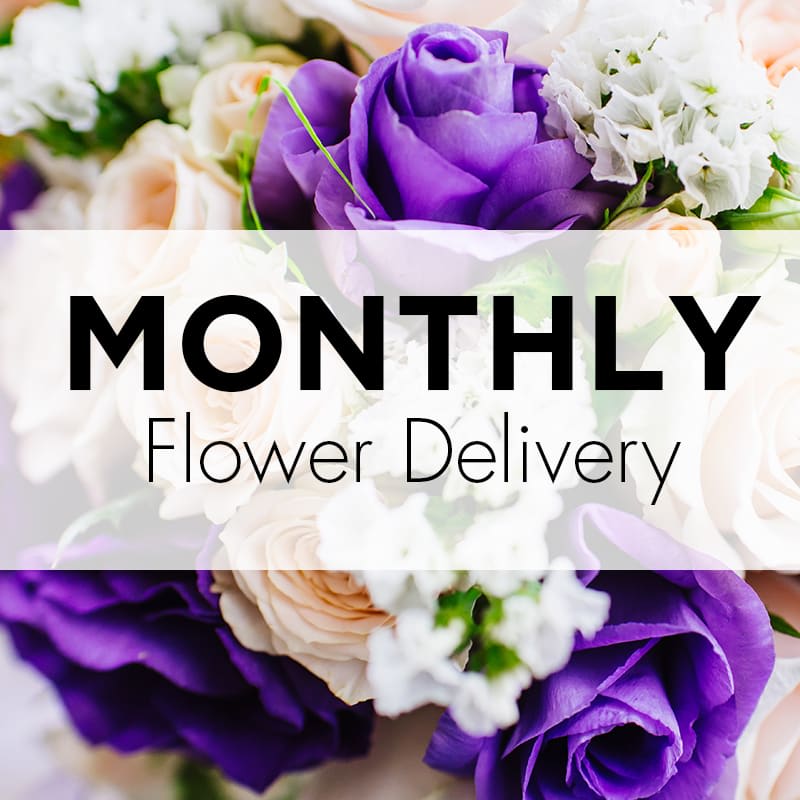 Purple and cream roses with white filler flowers behind text