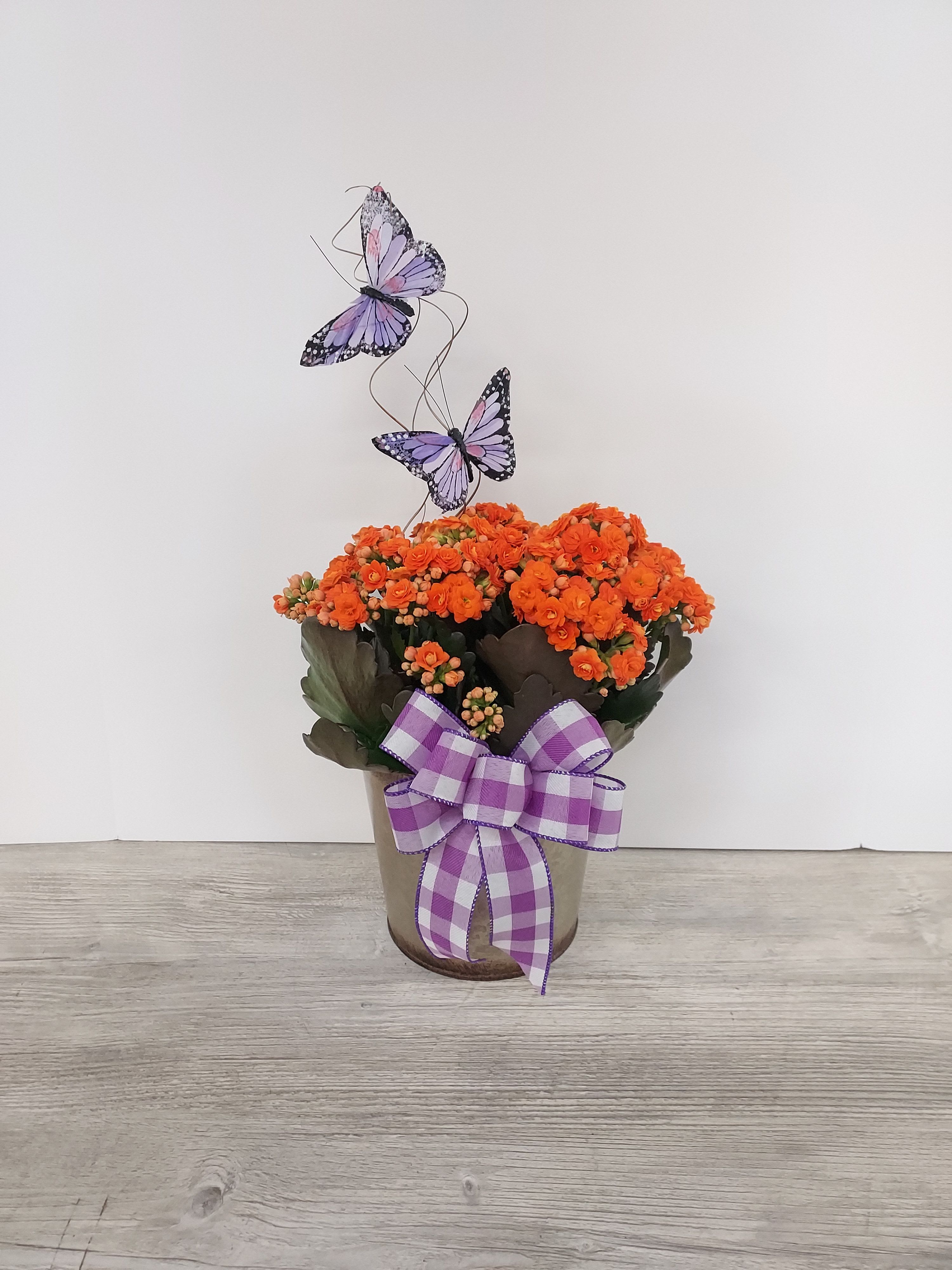 Potted orange flowering plant in a metal container with a purple check bow and decorative butterflies.