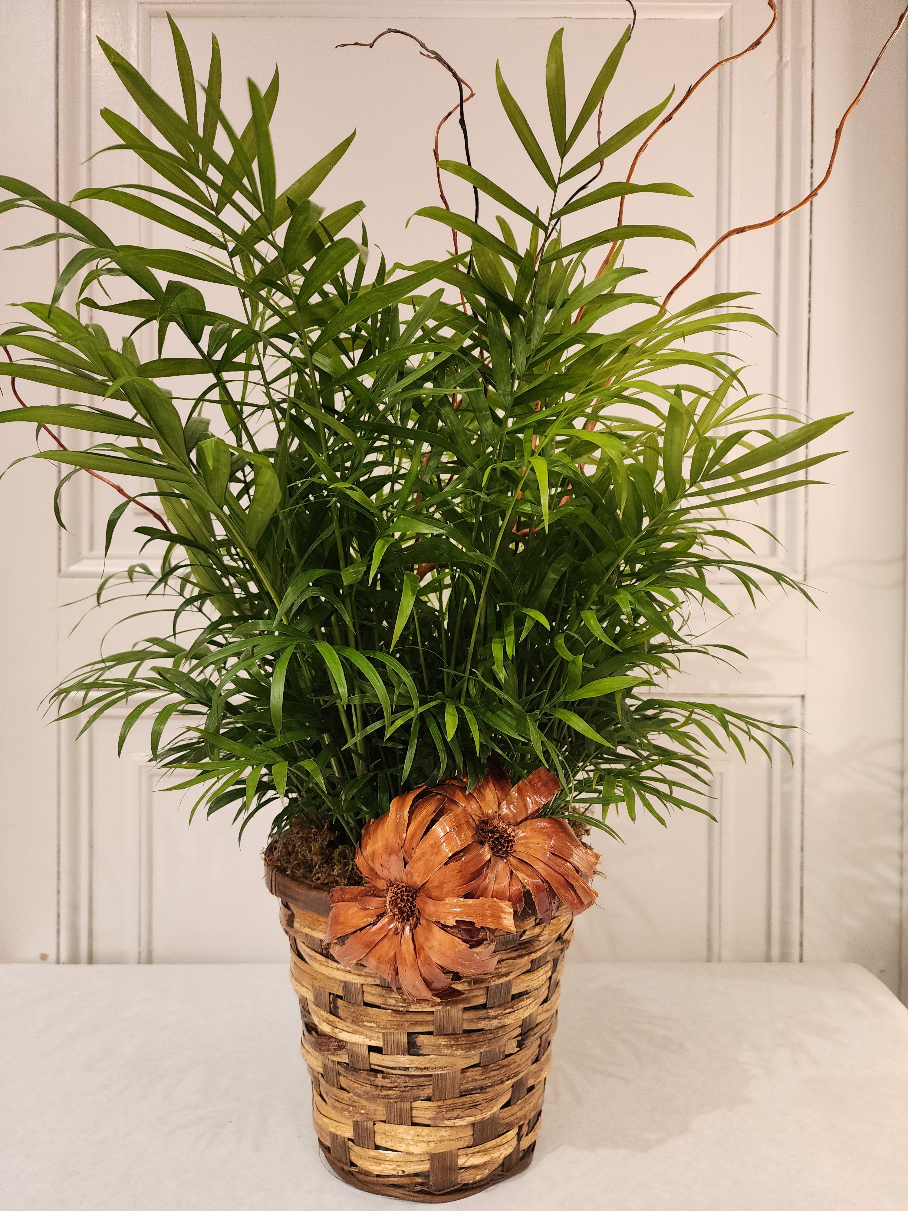 Potted green palm plant in a woven basket with dried orange flowers