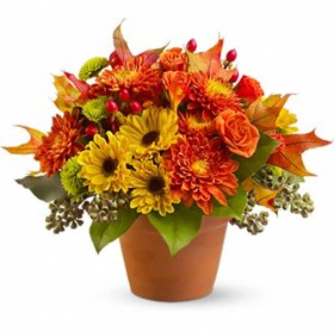 Autumn bouquet of orange and yellow flowers in a terracotta pot