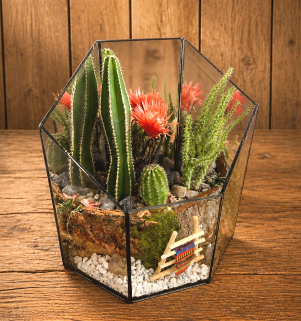 Geometric glass terrarium with cacti and bright orange blooms