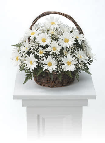 White daisies in a wicker basket with a handle
