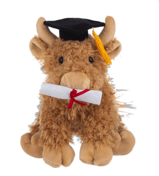 Brown plush cow wearing a graduation cap and holding a rolled diploma with red ribbon