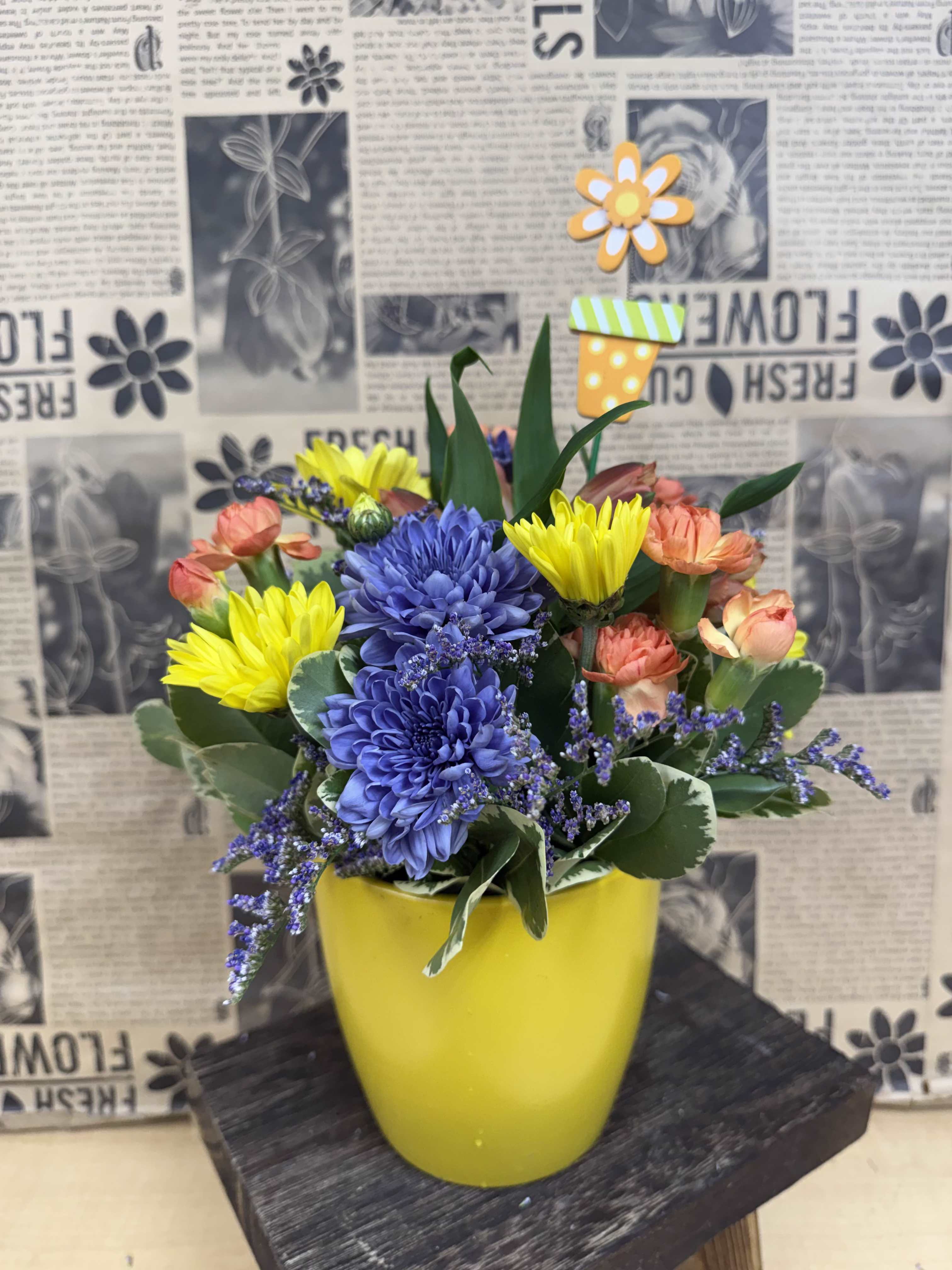 Soak up the Sunshine - Small Colorful Pot Arrangement