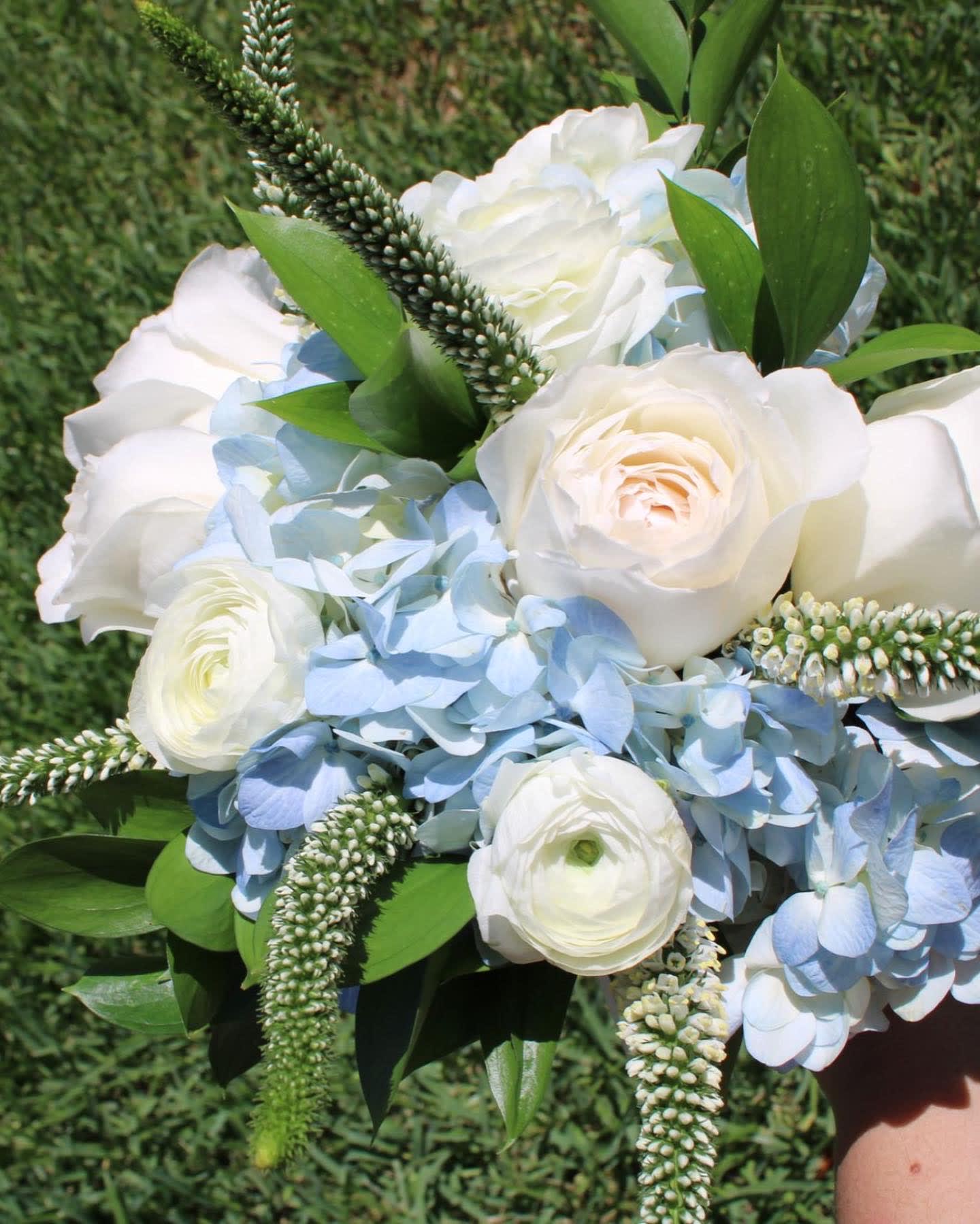 White roses and pale blue hydrangeas in a hand-held bouquet