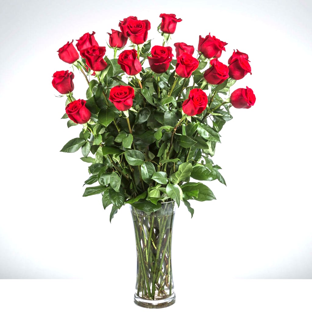 Tall vase of red roses with green foliage