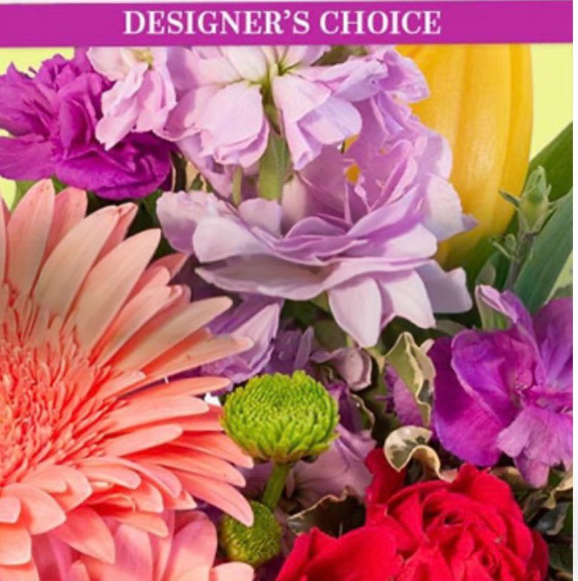 designer choice - designer choice 