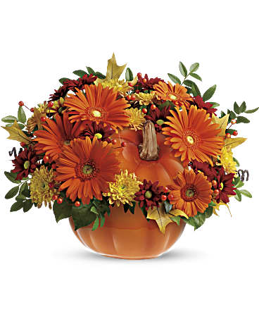 Countryside Pumpkin - Send your special someone fall flowers  with this reusable ceramic pumpkin arrangement. For  Halloween decoration or spirited fall floral decoration . Orange gerberas, bronze cushion mums, red daisies, huckleberry and salal are accented with yellow oak leaves and artificial fall berries