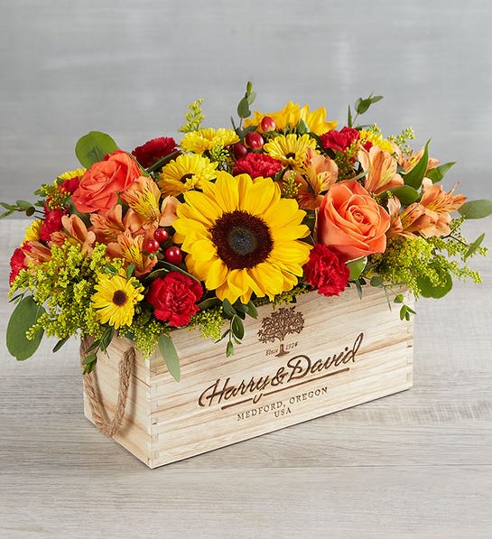 Harvest Spic Centerpiece - Exclusive centerpiece that celebrates the spirit of giving and family gatherings. Overflowing with the rich, warm colors of the harvest season, its unique, cascading shape makes it the perfect design for tables. Whether sending to someone special, or adding beauty to your own home, this charming arrangement will become a focal point for autumn’s most memorable moments.