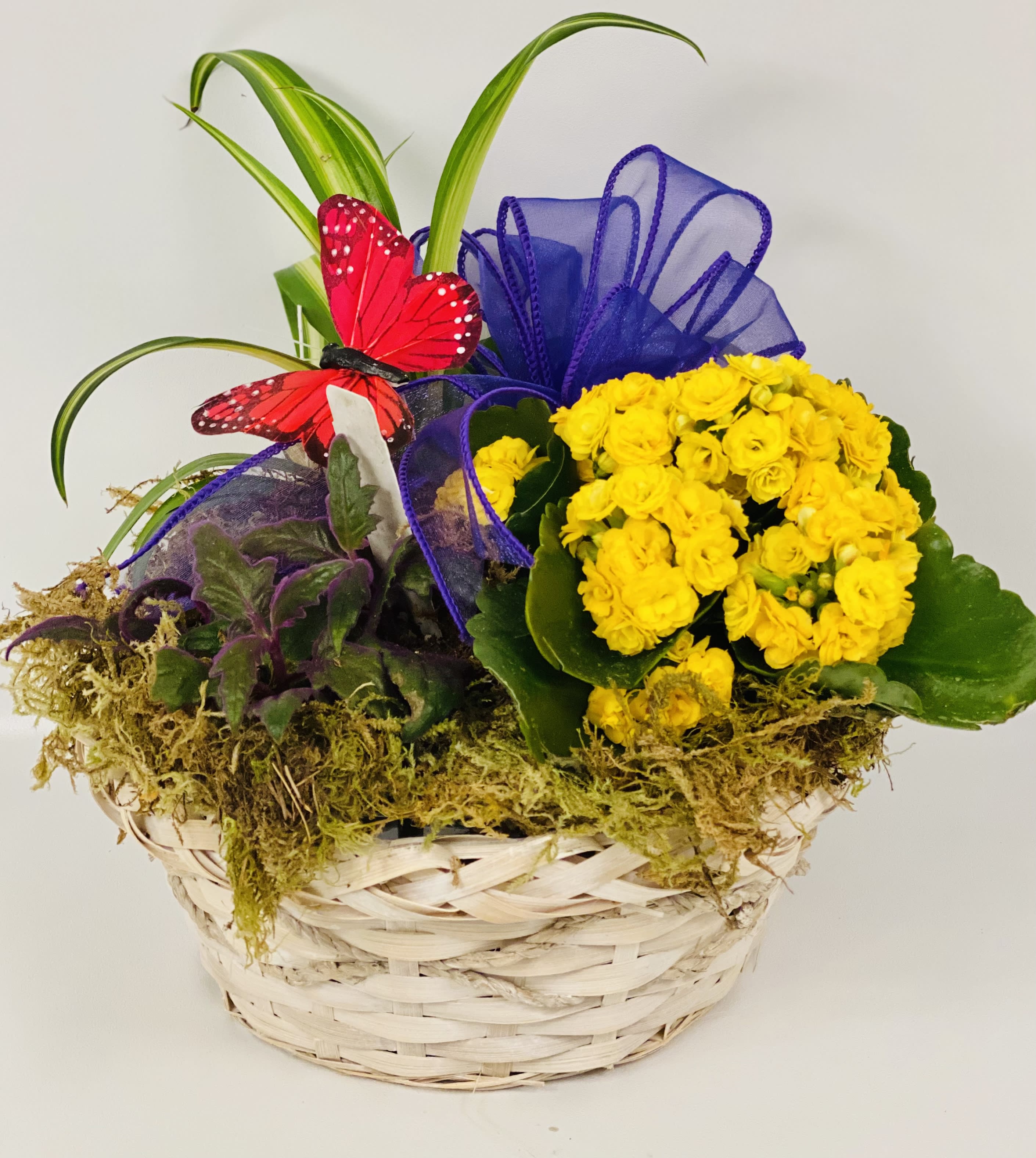 Yellow flowers in a woven basket with a purple ribbon and red butterfly