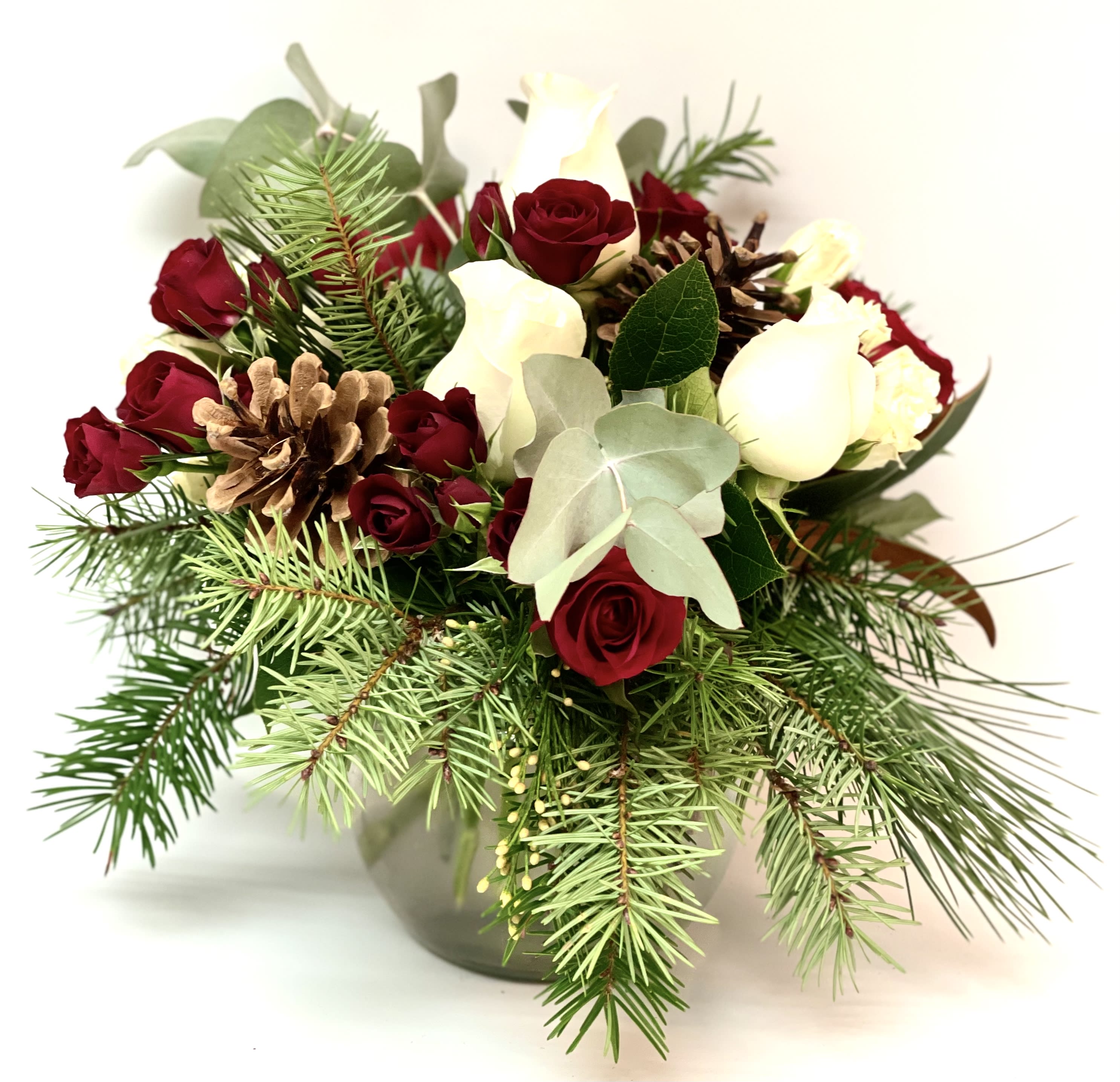 Red and white roses arranged with pinecones and evergreen branches in a vase