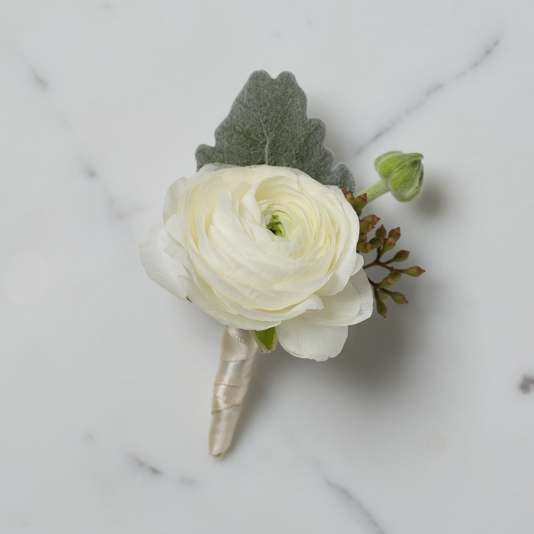White ranunculus boutonniere with a ribbon-wrapped stem