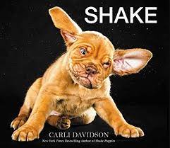 A winking puppy on a black background with the word SHAKE above it