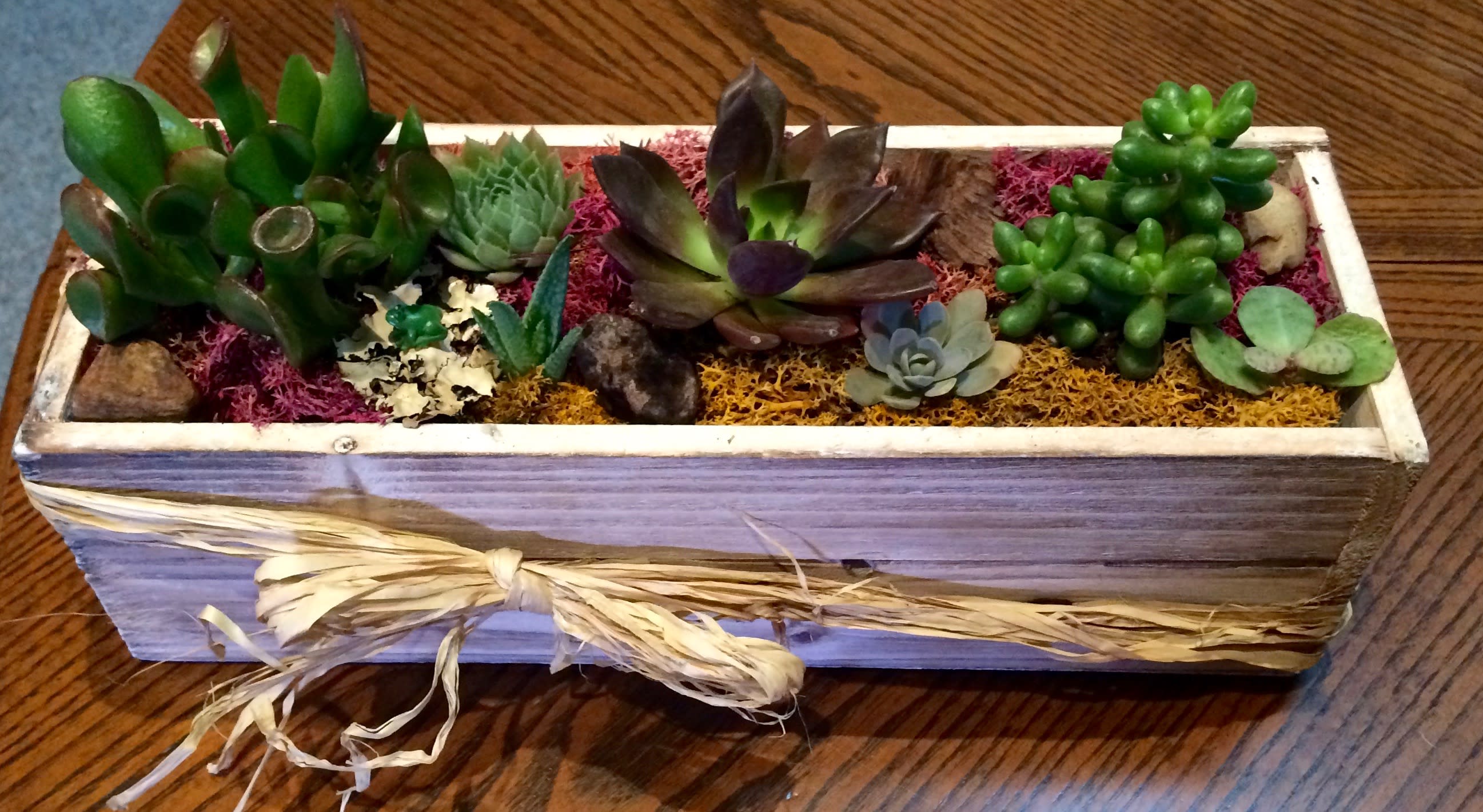 Succulent arrangement in a rectangular wooden planter with decorative moss and stones