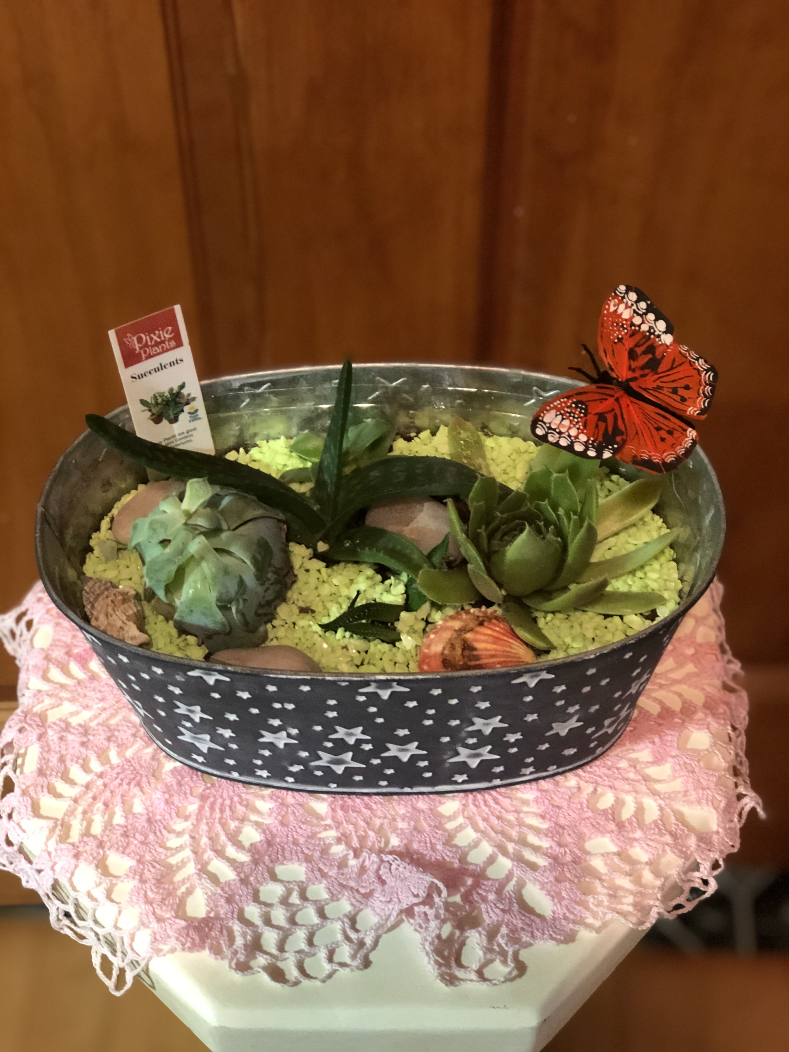 Succulent planter in a star-patterned tin with a butterfly pick
