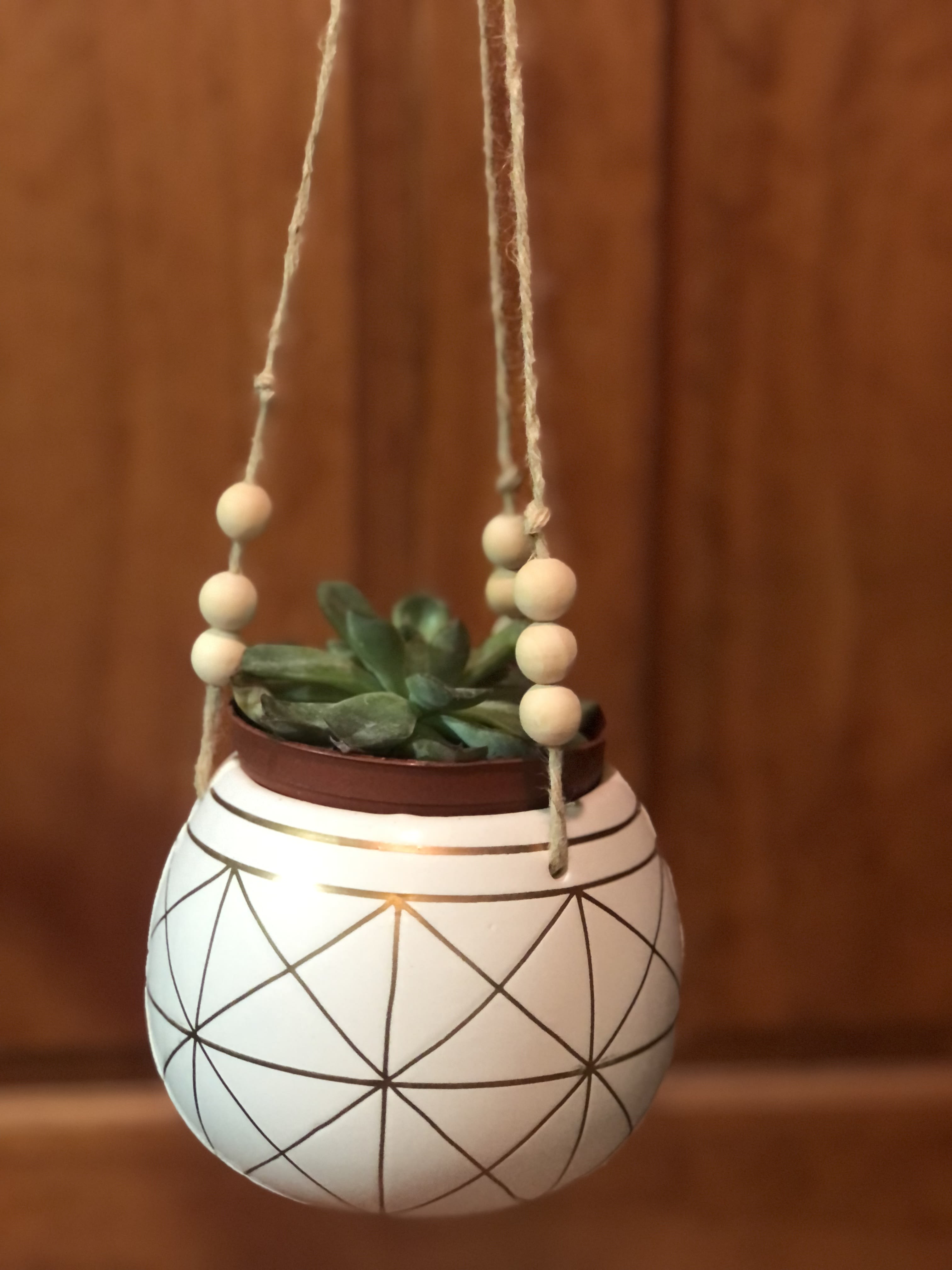 Small succulent in a hanging white planter with bead accents