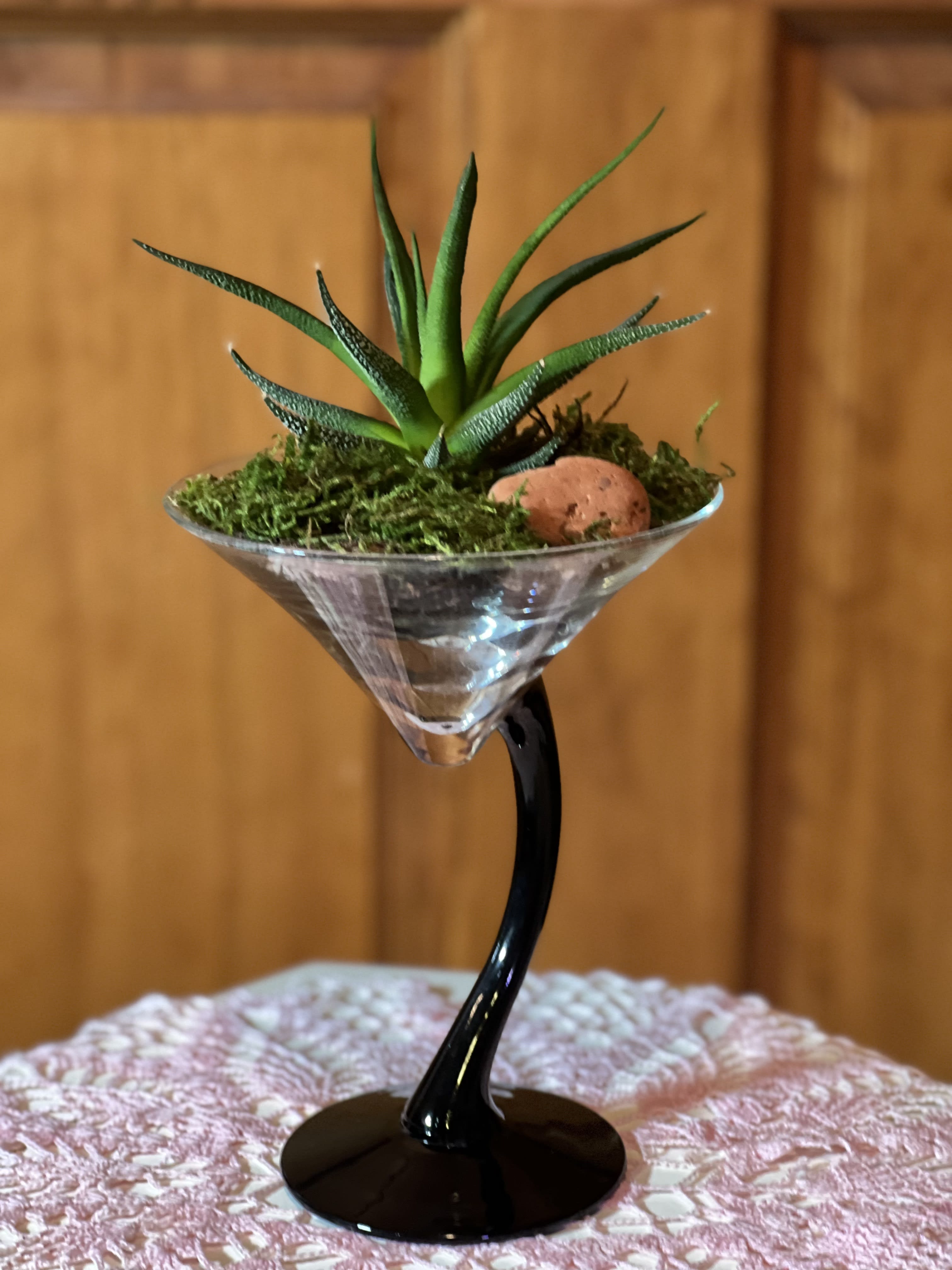 Succulent in a martini glass with moss and a small stone