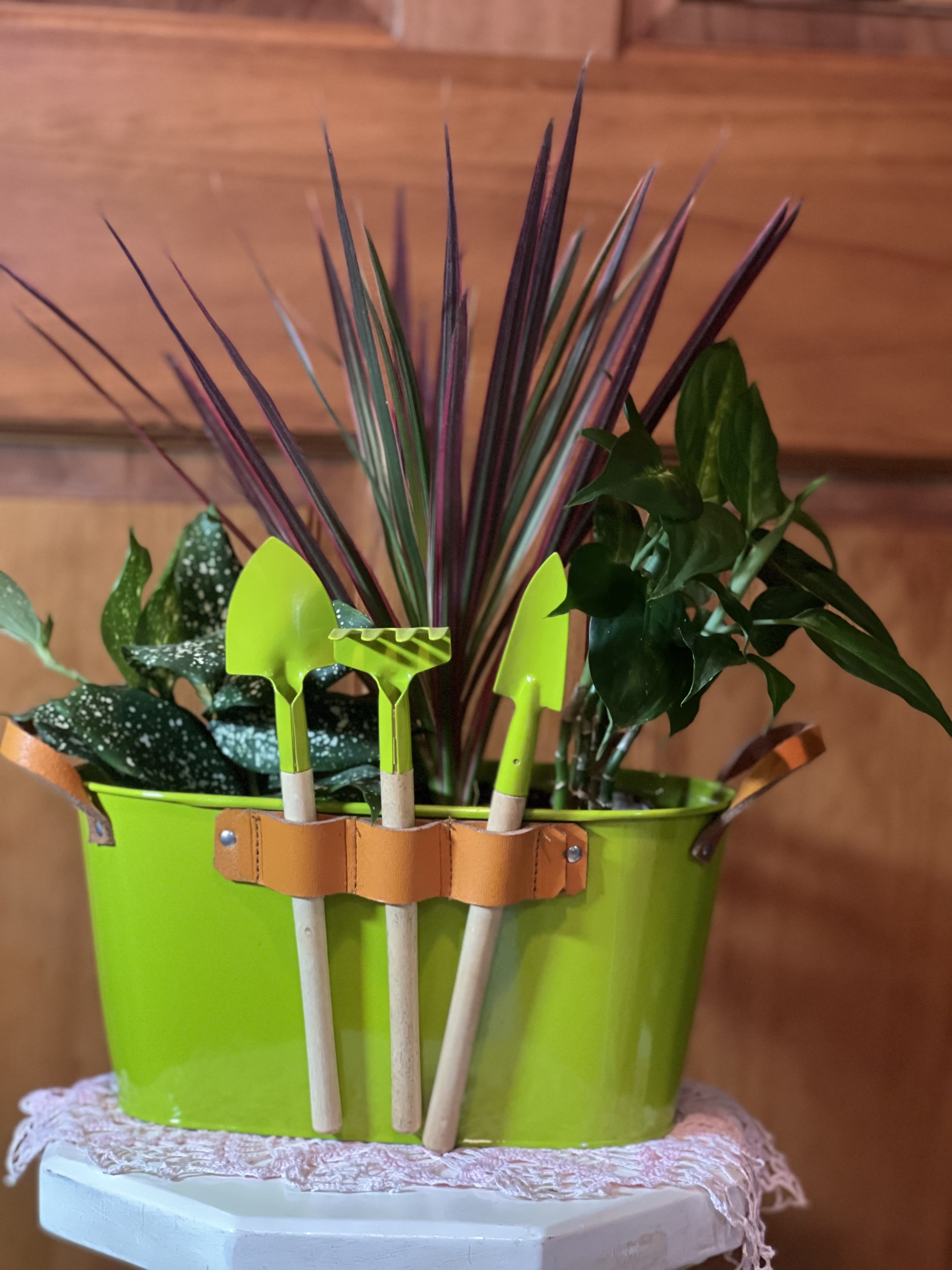 Green potted plant arrangement with purple spiky leaves and garden tools