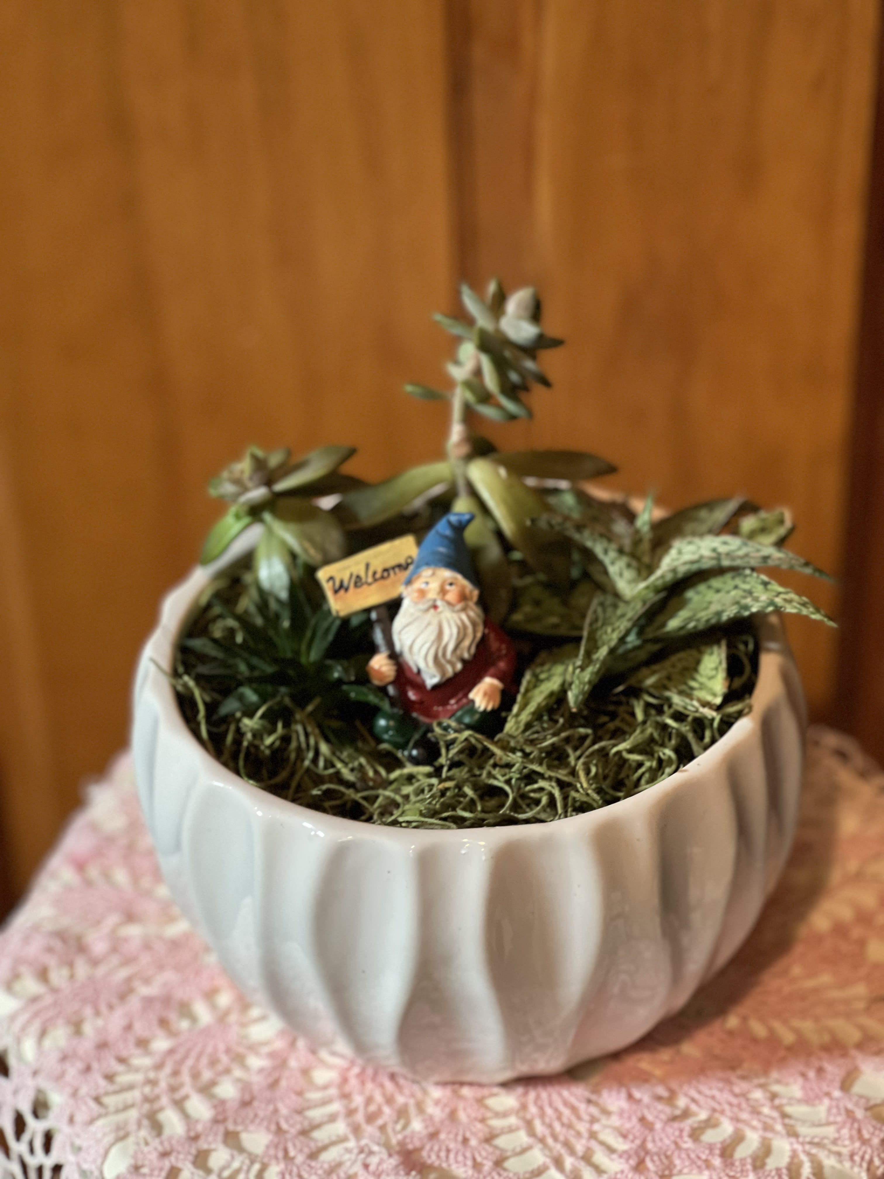 Small potted succulent arrangement with a gnome figurine holding a welcome sign