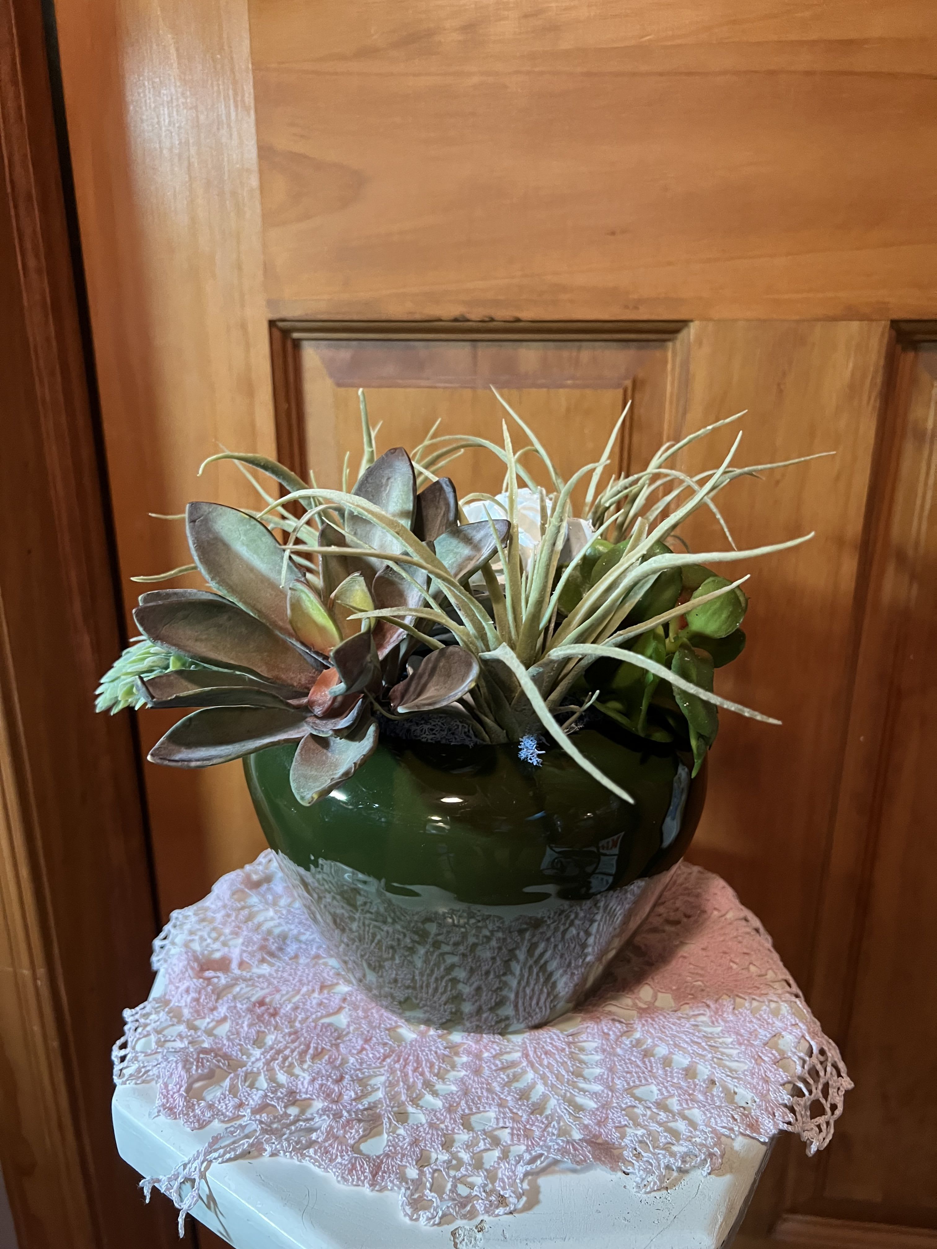 Succulent arrangement in a dark green ceramic pot with a lace cover