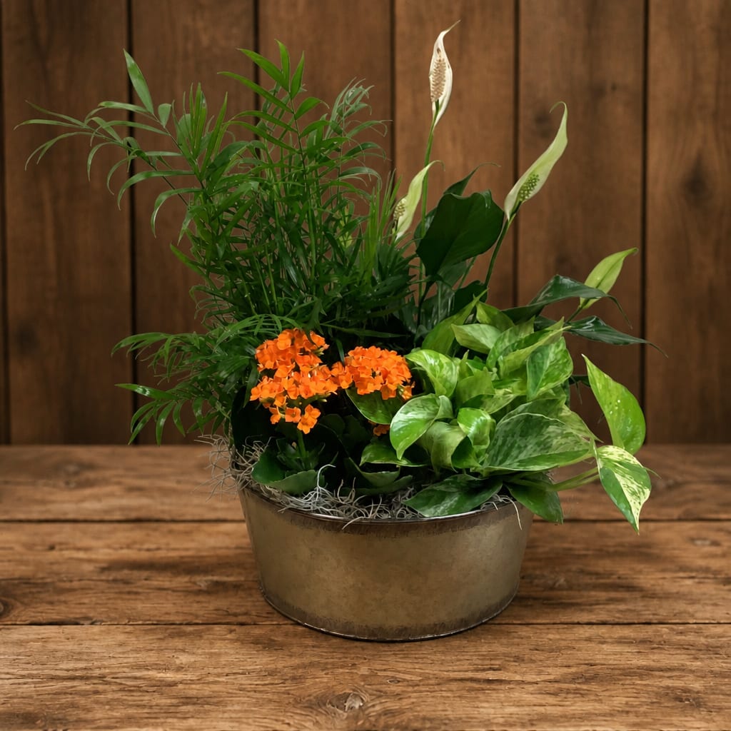 Potted arrangement with orange flowers and white peace lilies
