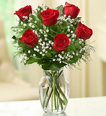 Red roses arranged in a clear glass vase with baby's breath