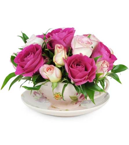 Pink and white roses arranged in a floral teacup with saucer