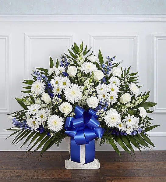 Fan-shaped arrangement of white roses and daisies with blue flowers in a white container with a large blue bow.