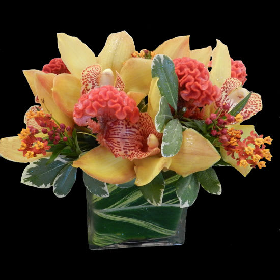 Yellow orchids and pink cockscomb in a square glass vase