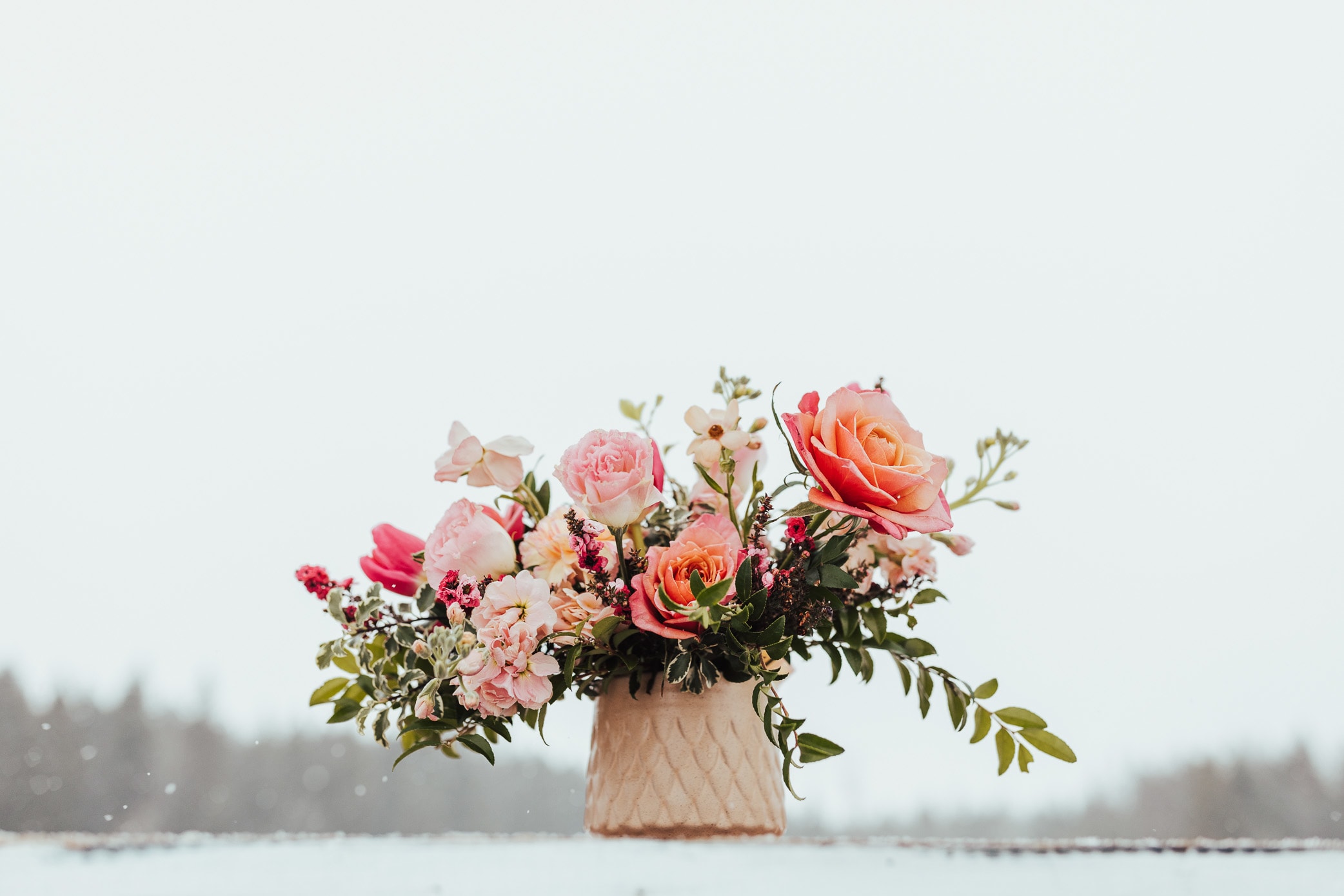 Low peach and pink rose arrangement in a textured cream ceramic pot against a snowy background