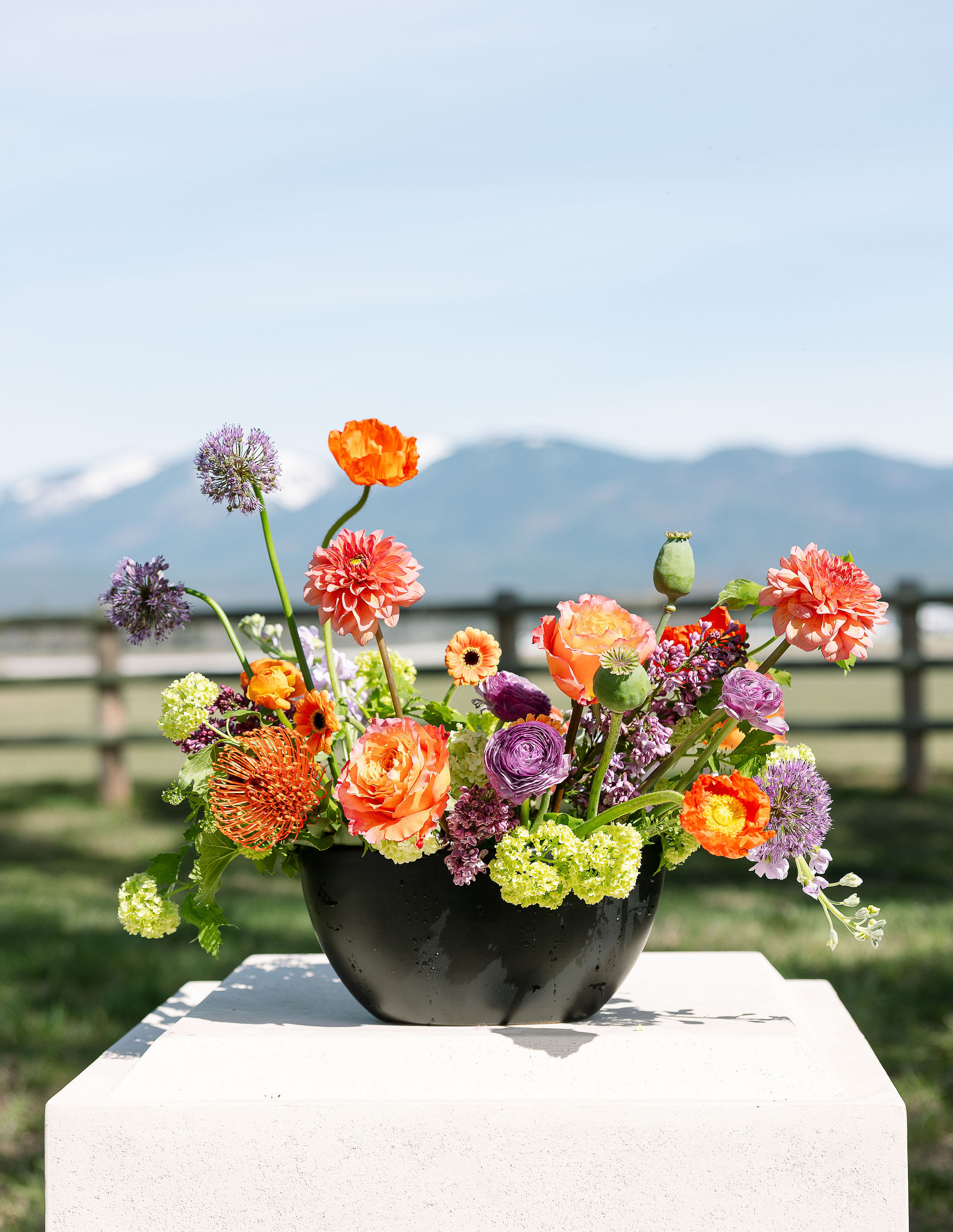 Low black bowl of orange, purple, and green mixed flowers arranged outdoors with mountains in the background.