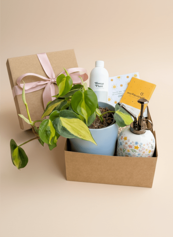 Gift box with a potted plant, spray bottle, and gardening items