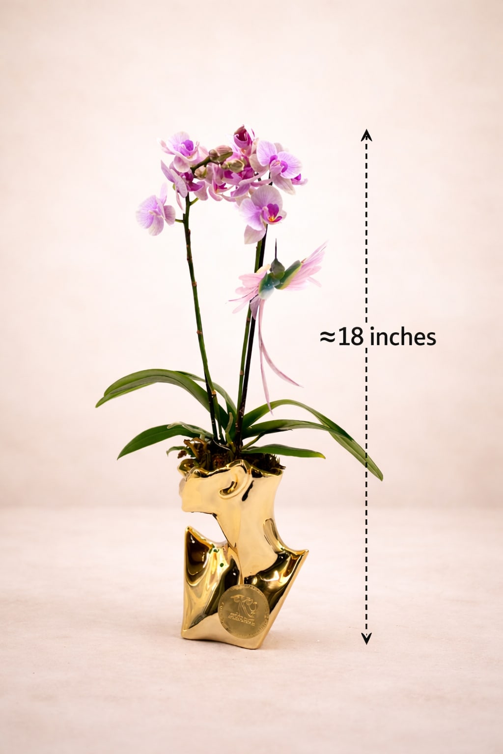 Pink orchid plant in a gold decorative pot with an 18-inch height marker