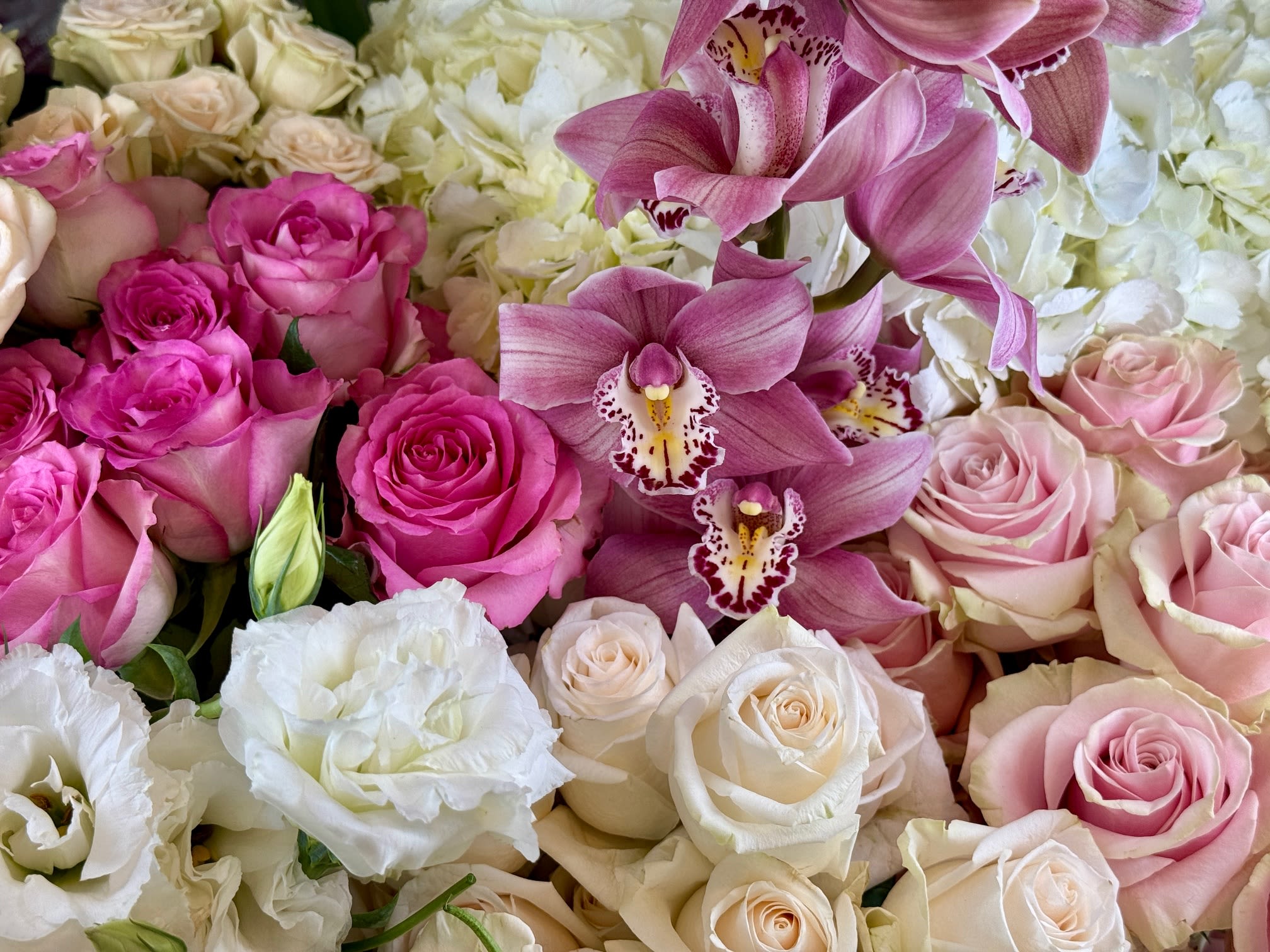 Designer's Choice - Mix Flowers in different variety and colors. (If you like Tall or Short Arrangement, any kind of Flowers or any Colors, please let us know in "Special Instructions") 