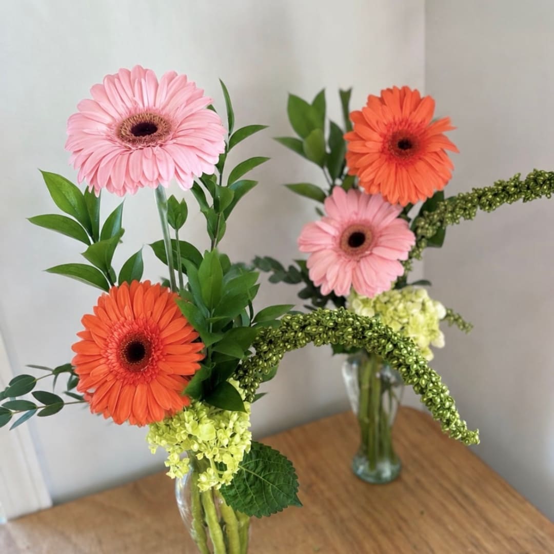 Pink and orange gerbera daisies in clear glass vases