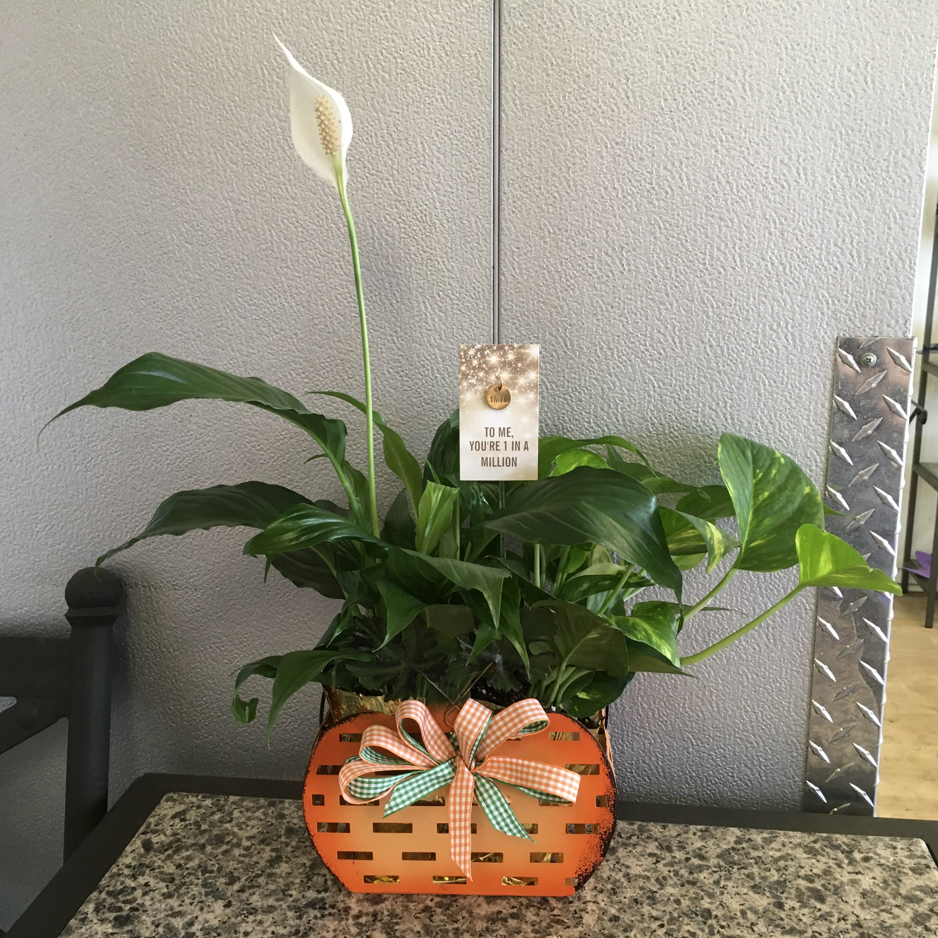 Pumpkin Planter &amp; 1 Mil Charm  - As shown 
