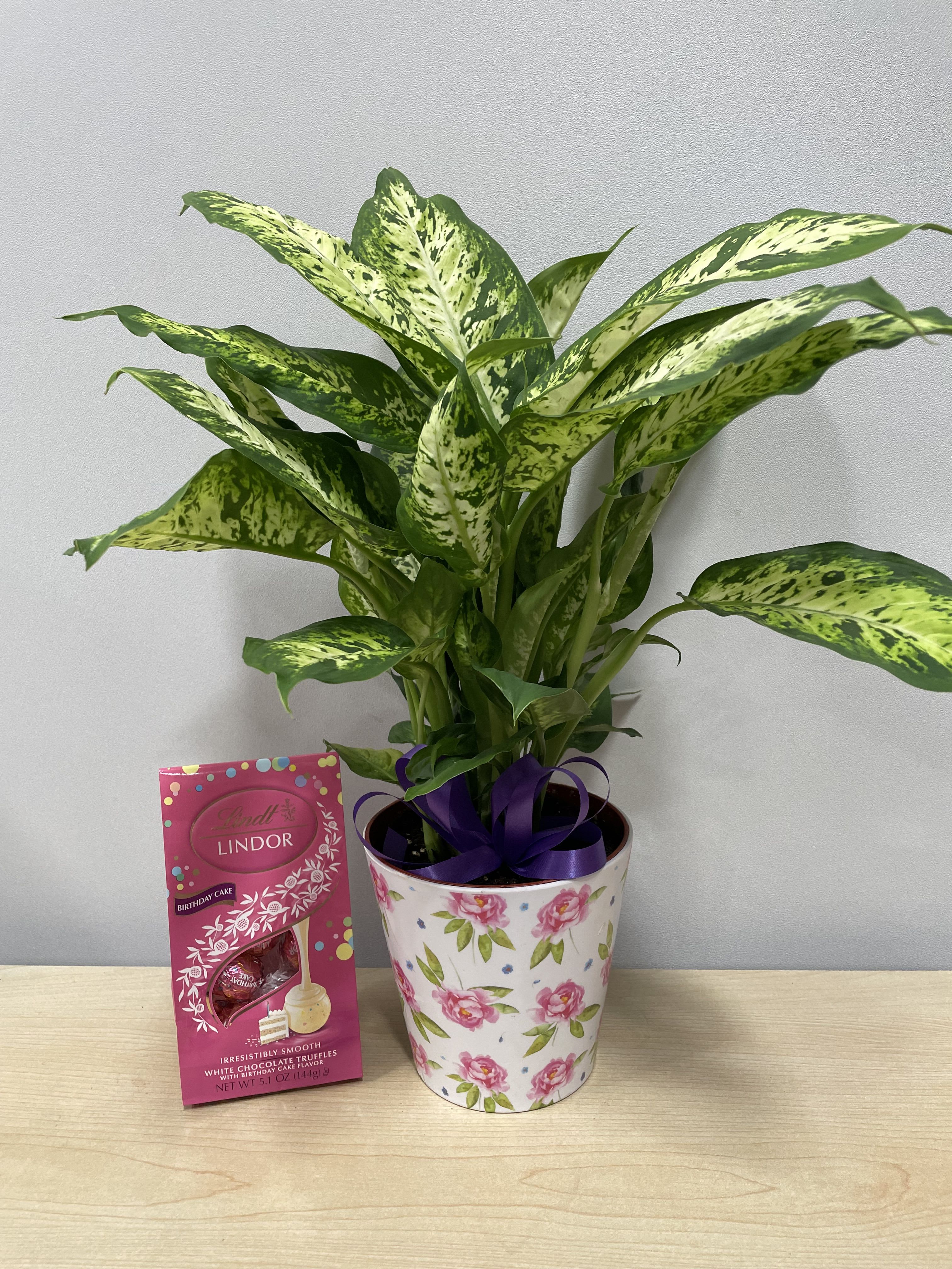 Pretty Planter &amp; Birthday Truffles - As shown 