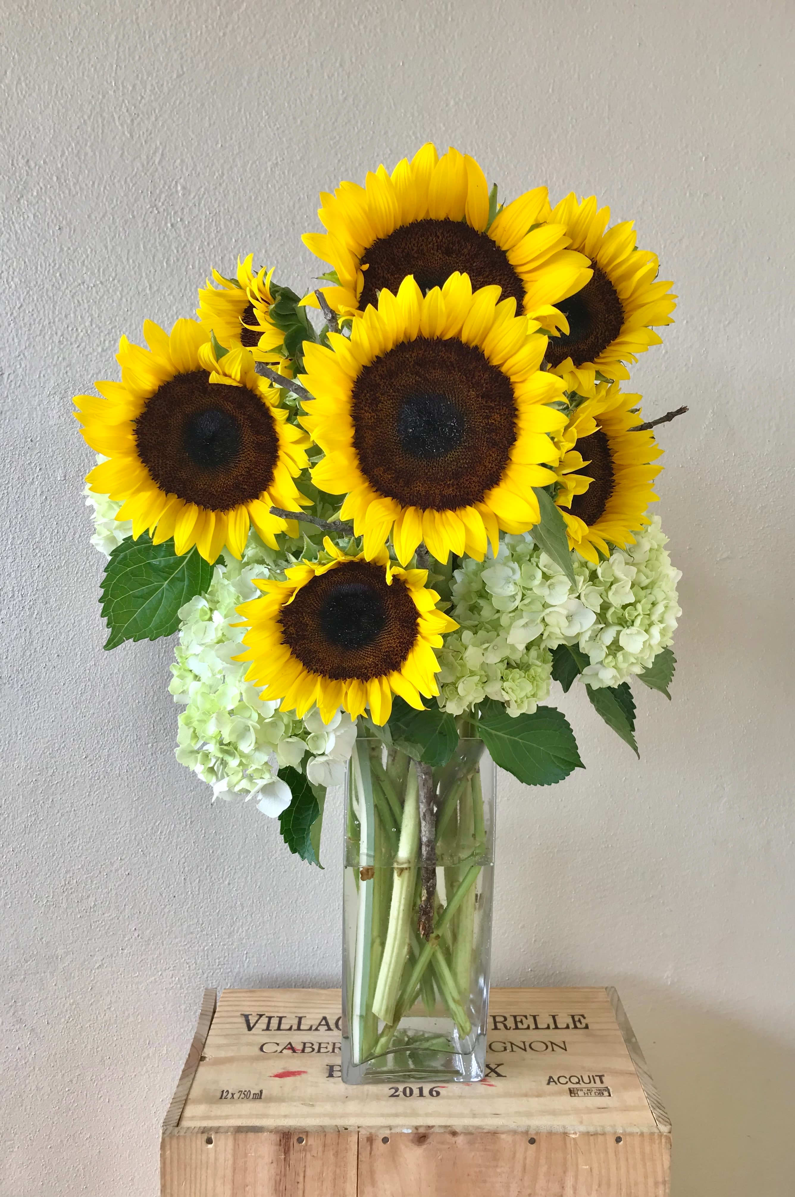 Brilliantly Bloomed - Sunflowers with Hydrangeas in glass vase 