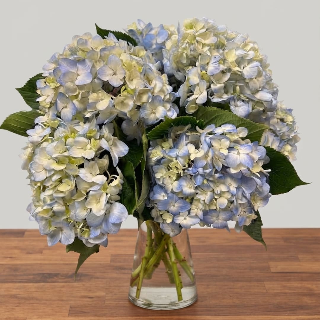 Blue and white hydrangea bouquet in a clear glass vase