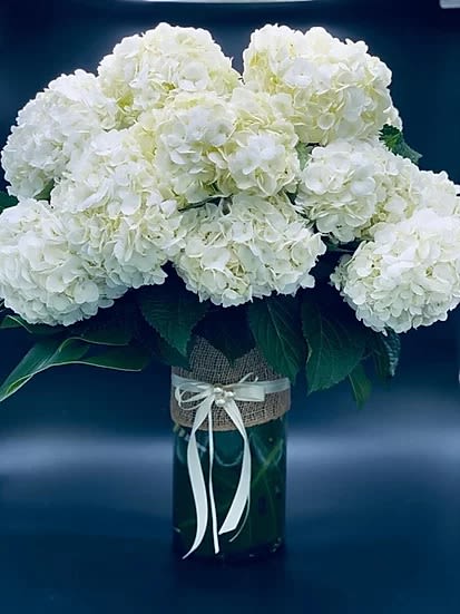 White hydrangea bouquet in a glass vase with a ribbon