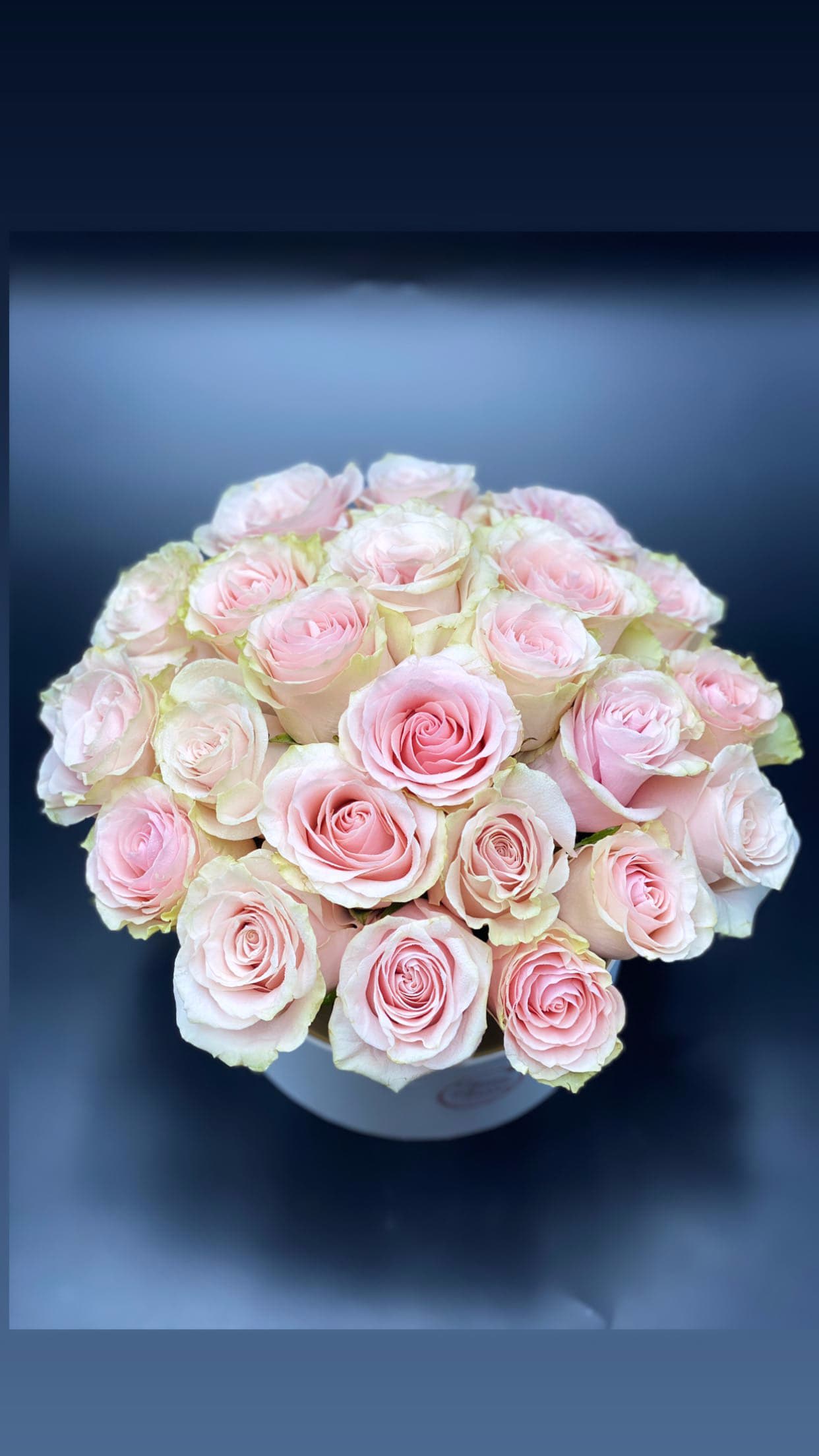 Katrin - Pink roses in a box