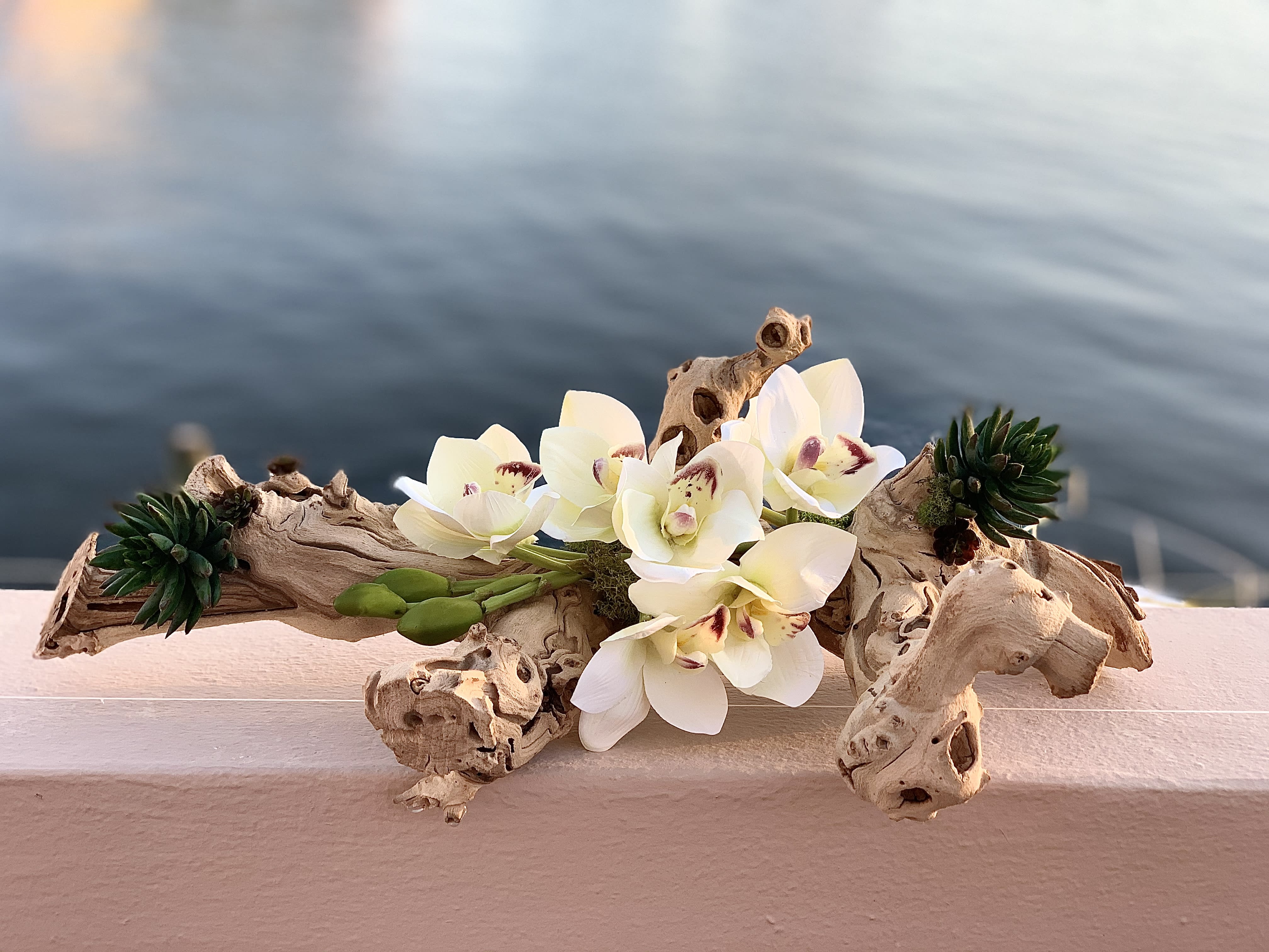 White orchids arranged on driftwood with small succulents