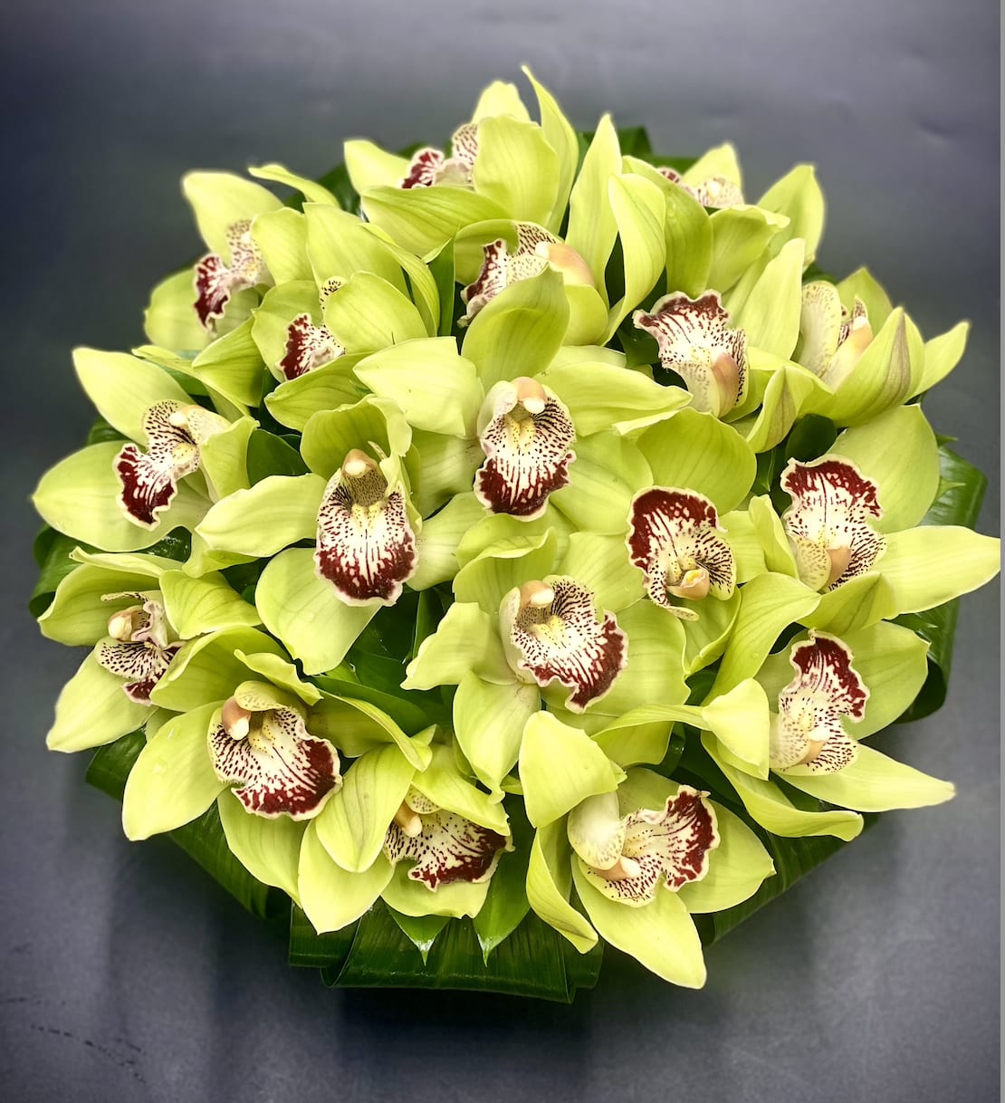 Bouquet of lime green orchids with burgundy-speckled centers