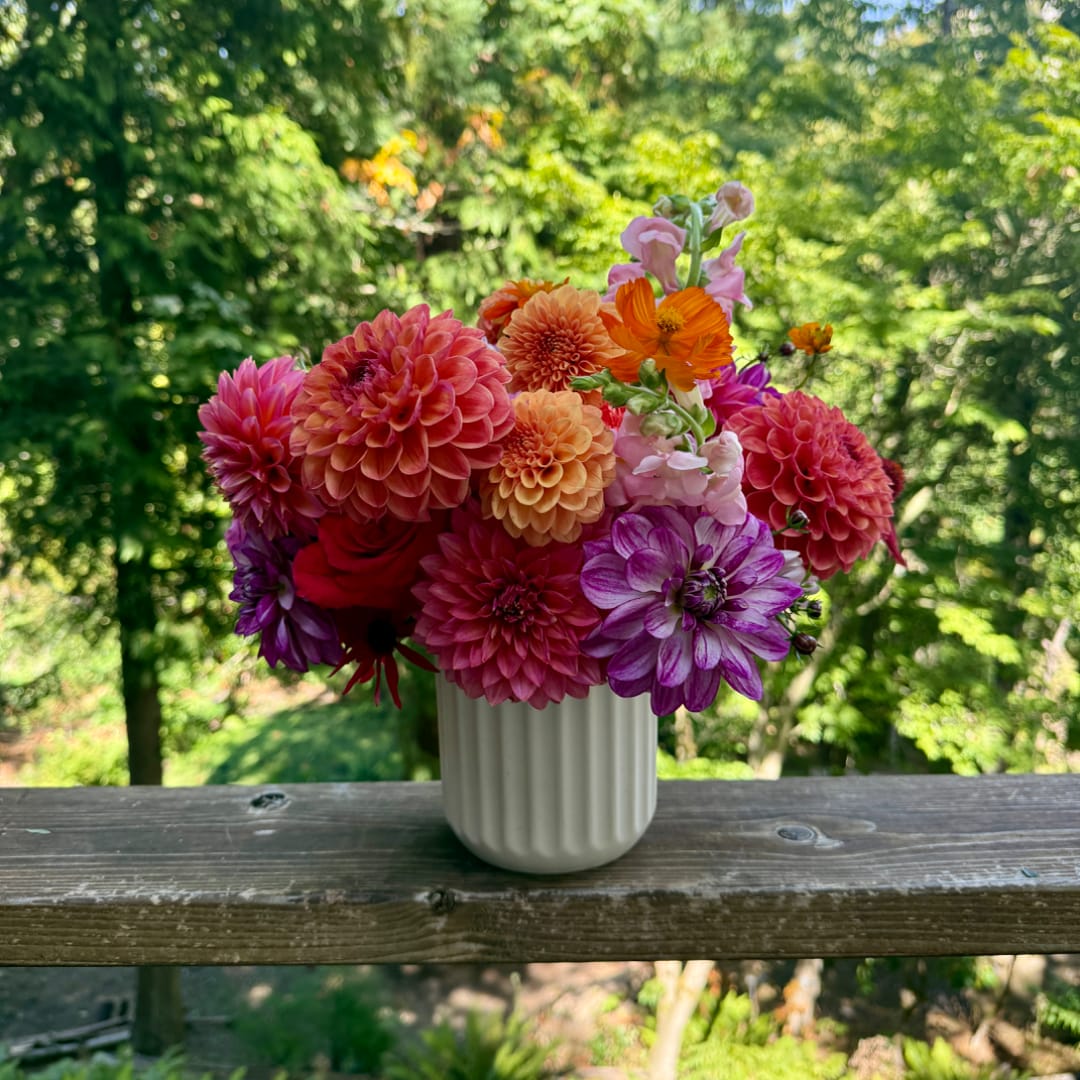 Colorful bouquet of dahlias and snapdragons in a white vase