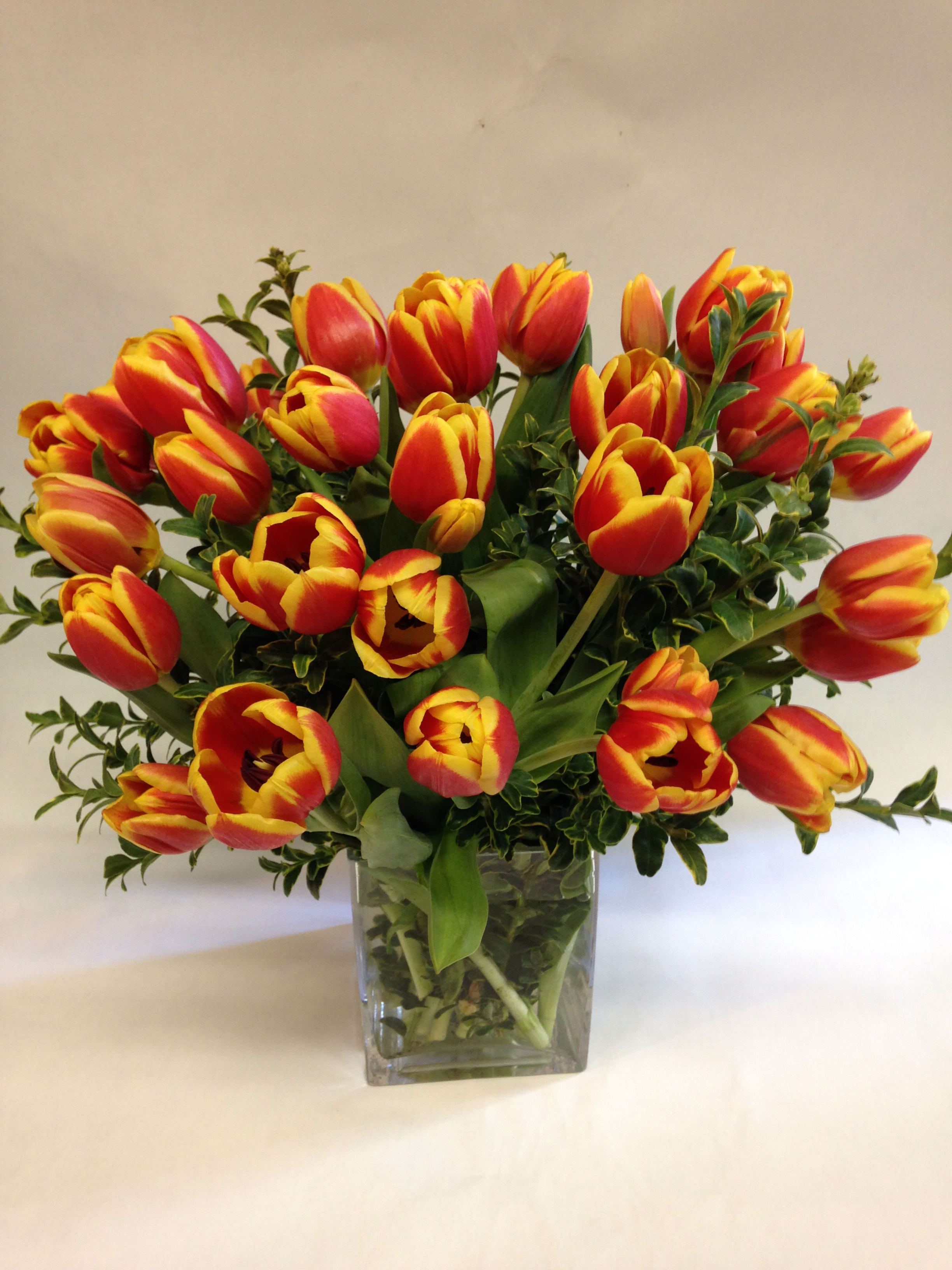 Textural Tulips - This tulip arrangement can come in a variety of colors: orange, yellow, purple, pink and red.  Please specify which color you would like in the special instructions below.  (Some flowers may be subject to change depending on the season. We will contact you with available flower substitutions; please contact us with specific questions if you are concerned with flower availability, thanks!)FEATURED ARRANGEMENT  $88.00 (REGULAR PRICE)