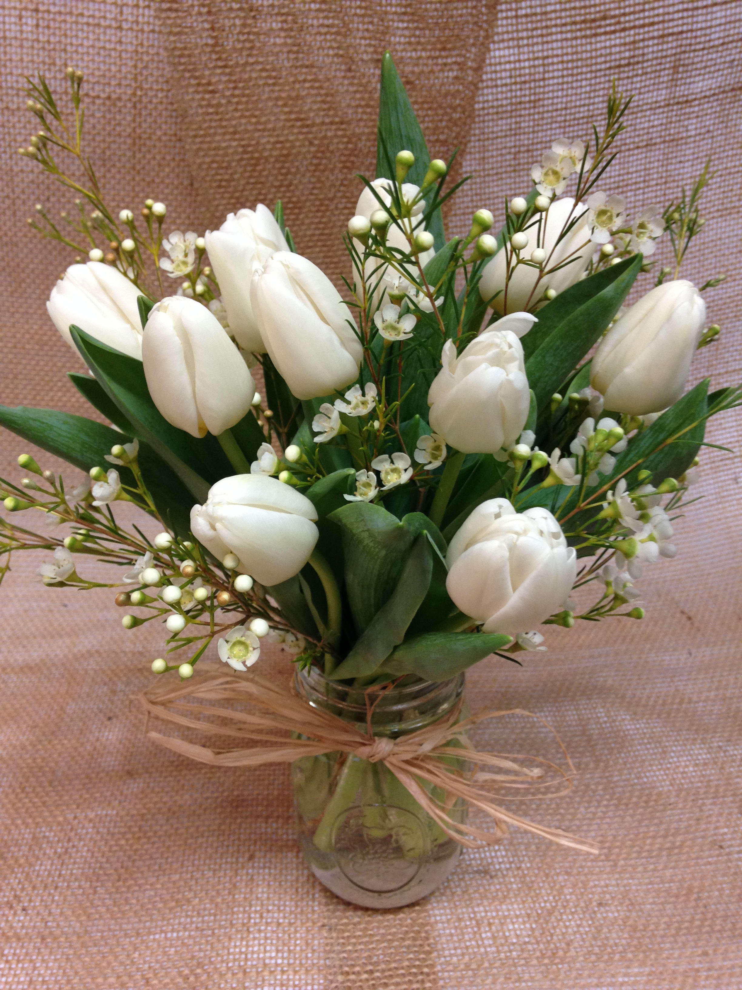 White tulips arranged in a glass vase with small white filler flowers